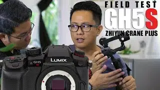 Panasonic Lumix GH5S | Field Test with the Zhiyun Crane Plus