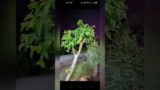 Tutorial Foto Malam Jadi Terang Dan Jernih...Gcam Nikita V2.0