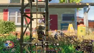 Grounded New Shed's ziplines