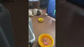 Душа радуется, когда прилетает весточка от нашего малыша