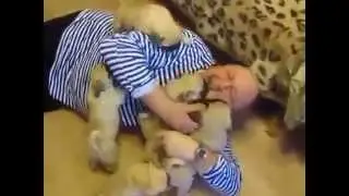 Доброе утро МОПСЫ прикол