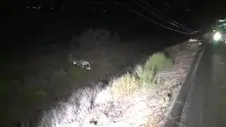 Ambulance Crashes Down 100 Foot Embankment