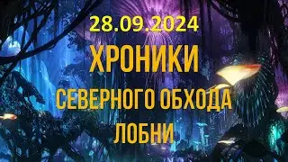 28.09.2024 года - Хроники Северного обхода