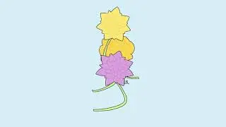 Flowers || Original