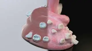 Literal Tooth Paste / SoundFX by levelbevel