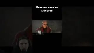 Реакция вели на молотов 
