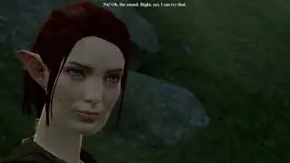 Dragon Age II - The Master's Salve + The Lost Hounds