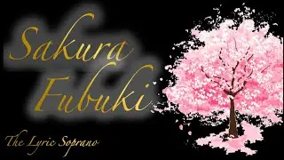 Sakura Fubuki ~ English Cover