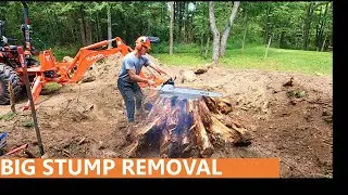 149 - This Big Stump Is Coming Out - Kubota BH77 Backhoe - Chainsaws
