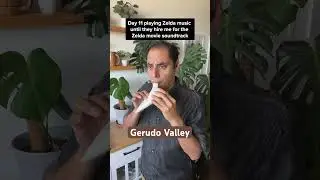 Gerudo Valley on Ocarina 🏜️ #ZeldaMovie