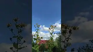 А мне бы песню написать. автор исполнитель Эдуард Данилов аранжировка Павел Оборин