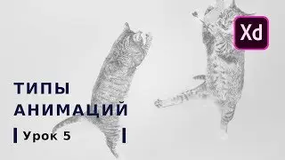 Урок № 5 Анимации  | Курс Adobe XD от Школы BeAnalyst