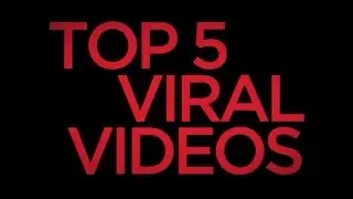 Top 5 Viral Videos of 2015