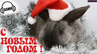 ЗВУК ЗАЙЦА !!! 30 минут улетного веселья !!! С НОВЫМ 2023 ГОДОМ !!!