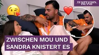 Geht Mou hier schon zu weit? 🙄​​| Temptation Island | RTL+
