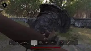Hunt: Showdown - 2020.12.14. 2 - bug/crash again