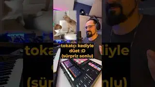 Tokatçı kediyle düet! 😂 SÜRPRİZ SONLU!
