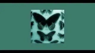 insomniac- memo boy (sped, pitched up) ♡