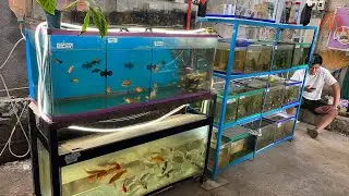 Nilagyan namin ng divider ung malaking aquarium namin