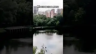30 июля 2024 г.