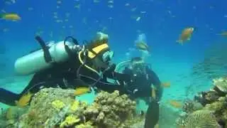 Superdive in Egypt