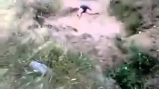 Не допрыгнул до воды
