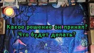 Какое решение он принял? Что будет делать? 🔮💣🔥💥👣👀