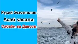 Руҳий хасталик Ва Асаб касали/ сабаби-давоси