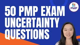 50 PMP Exam Questions - Uncertainty Performance Domain (PMBOK 7th Ed.)
