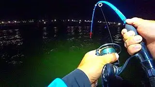 БИТВА ТИТАНОВ !!!💥ОДИН В ЛОДКЕ ПРОТИВ ГИГАНТА !!! РЫБАЛКА НА СОМА И САЗАНА С НОЧËВКОЙ