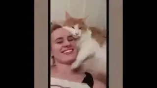 Самая милая подборка котиков, которую вы видел
