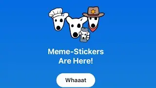 DOGS- ЛИСТИНГ! Вывод монет на биржу! Как подготовить кошелек к выводу DOGS? На каких биржах листинг?