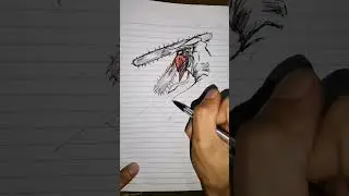 Chainsawman Speed Drawing #animedrawing #chainsawman