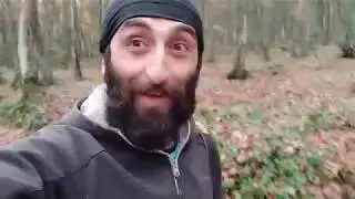 დანომრილი ხეები © Leone