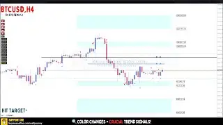 Weekly Forex & Gold Trading Review [6-10 January] | TN System Key Target Zones (H4, XAUUSD)