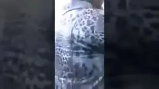 Обидели негра