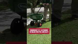 The Quick Guide to Getting Rid of Fleas! [DIY Pest Control]