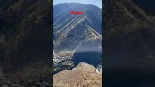 Ужасно красивая ЦУНТА с Шаури .