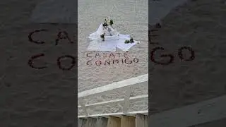 did she say yes? #proposal #engagement #miami