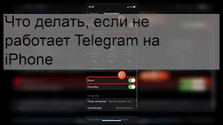 Что делать, если не работает Telegram на iPhone