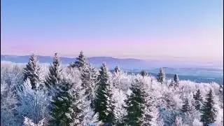 Beautiful View Of A Forest In Winter | Landscape | Shutterstock | Part-11