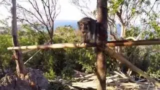 Summer in Philippines - Boracay 2014