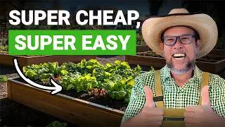 Garden Bed Prep Made Easy: 5 Steps for Beginners to Get Started!