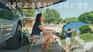 고즈넉한 시골 폐교에서 차박하기 | 도자기체험 | 치킨커리, 스팸땡초김밥 | 가평 산바라기 체험학교