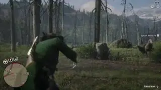 Red Dead Online "Random Ambush"