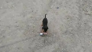 VID 20210429 192958