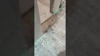 23 ноября 2023 г.