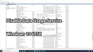 Disable Windows 10 LTSC Service Data Usage