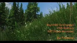 SkyrimSE Re-Engaged ENB-ReShade NAT Ultimate Preset (V3.0.1a)