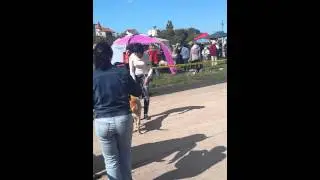 Выставка Севастополь 28_09